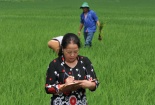 Nhà khoa học không lãng quên nông dân